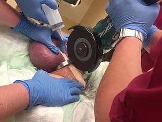 Nevertheless Snivel Surrounding Remove A Cock Ring!